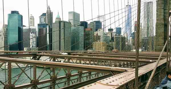 wingy免费下载ios