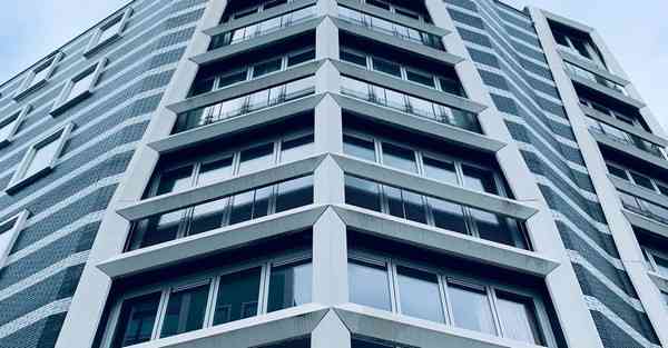 蜜蜂加速器网址