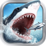 老王加速器老版本